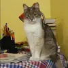Отзыв от Наталья Сафонова